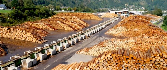 Holzindustrie